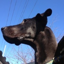 Jill Frederick - @JcFred09 - Twitter