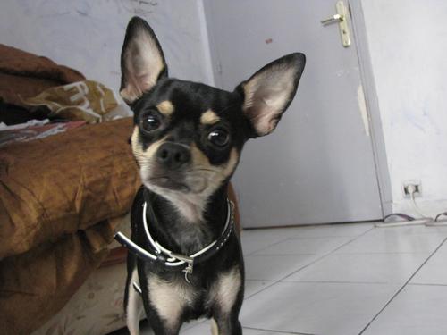 Brendouch06's profile picture. 