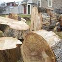 Susan Marshall  - @SusanMars66 - Twitter