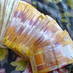 SaMethembe (@khulanisibanda) Twitter profile photo