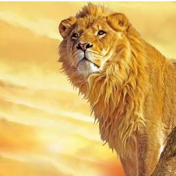 aleksey4276's profile picture. 