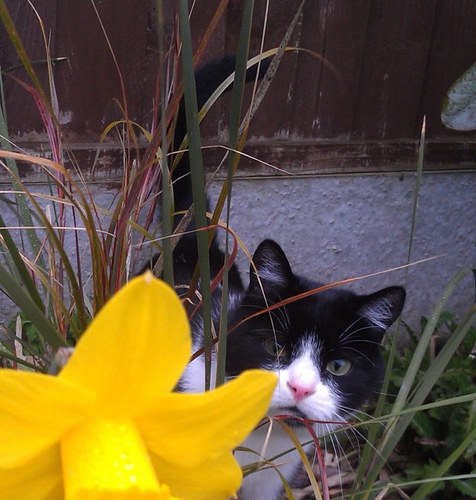 TompsonL's profile picture. 