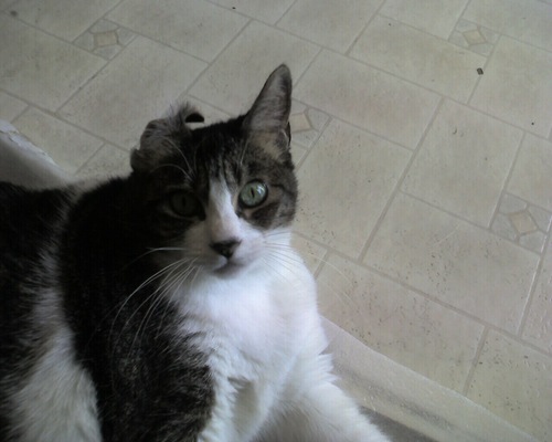 yostephtank's profile picture. 