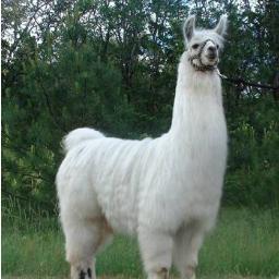 tiptwot's profile picture. Use with caution. But don't live with regret.