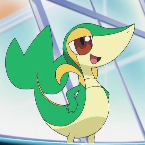 ツタージャ レグルス Snivy Regulus Twitter ツタージャ レグルス Snivy Regulus Twitter