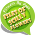 ISLESOFSCILLYFLOWERS (@iosflowers) Twitter profile photo