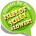 ISLESOFSCILLYFLOWERS (@iosflowers) Twitter profile photo ISLESOFSCILLYFLOWERS (@iosflowers) Twitter profile photo