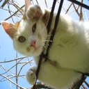 Fern Logan - @FernLogan6 - Twitter