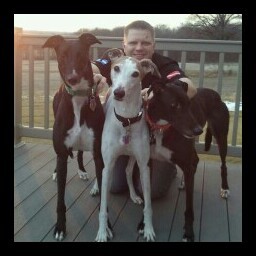 Dolphins, []_[], Karlsruhe SC, Heat fan, Android, Greyhound adopter, Audi enthusiast
