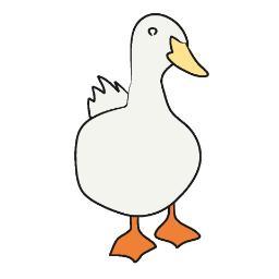 アヒルの夢ってなんだろう。🐣🦆🕊️🐦️♥️