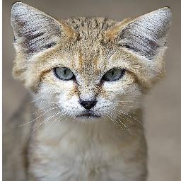 Mywatina's profile picture. 