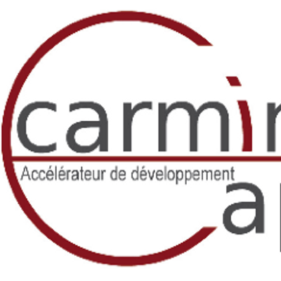 CARMINE CAPITAL