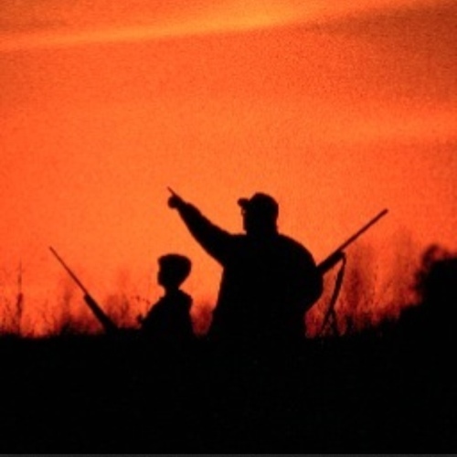 Brazil

All About Sasquatch existence.

Cryptozoology. Fishing and Hunting.

Airguns.

Watches.

Apple Hard User. 

Jailbreack.