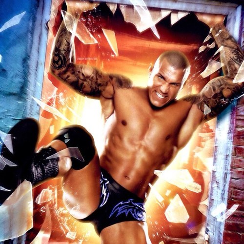 I love the wwe