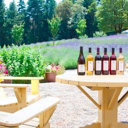 Wander the lavender fields and labyrinth, sample lavender wine, browse the gift shop.  Indulge your senses and savour the lifestyle with a stay at the B&B