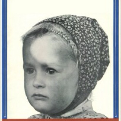 PeterHoefer's profile picture. Stealing your liquor and fucking your women since we got kicked out of Europe. Follow me if you need eggs turkeys or chickens. 
A role playing account. Dipshits