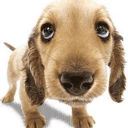 Nitesh0712's profile picture. 