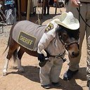 John Annis - @jrannis - Twitter