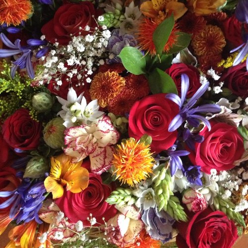 sivila55's profile picture. 