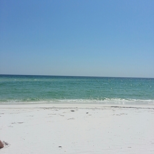 penbeachbob's profile picture. 