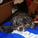 Catherine Tynan - @ctynan210_tynan - Twitter