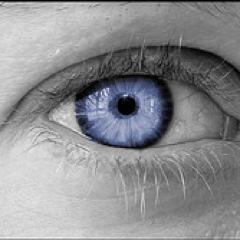 blue_steel70's profile picture. the myth, the man, the legend...you're welcome