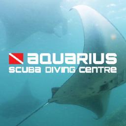 Where Toronto Learns to Dive.® We are Canada's leading dive centre. Learn to dive with us!