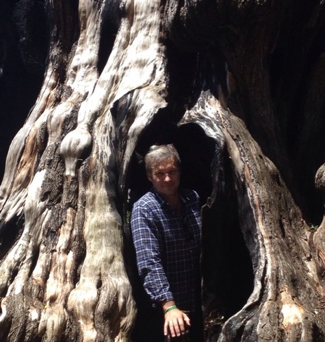 AndrewNixon15's profile picture. 