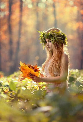 AveFenixC's profile picture. 