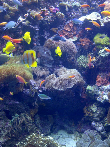 thuletwo's profile picture. 