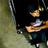 Hardeep1style's profile image