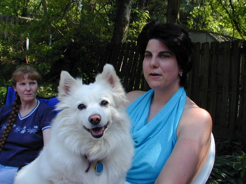 sandraclarktw's profile picture. 