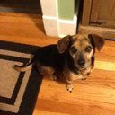 Cliff Hicks - @Cliff_Hicks54 - Twitter