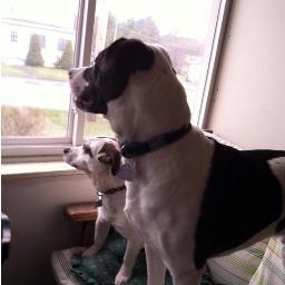 Safety_Freak's profile picture. 