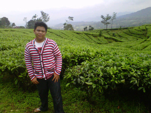 Pantang menyerah