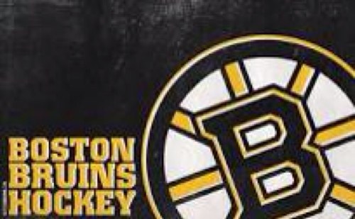 I LOVE THE BRUINS!!! GO BRUINS GO!!