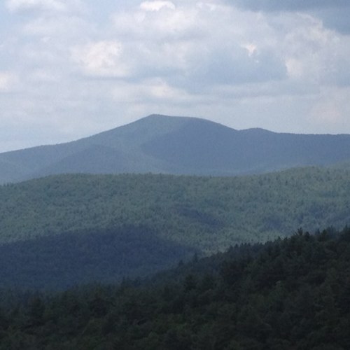 JettysJ's profile picture. 