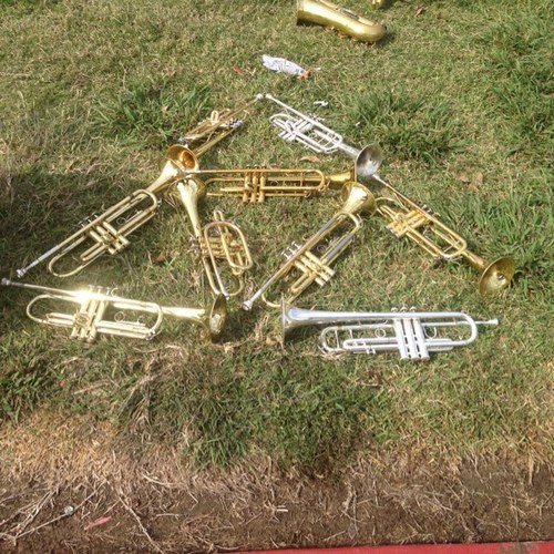 MHS_Strumpets's profile picture. Hi, i'm better than you.