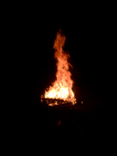 ethangwebb's profile picture. 