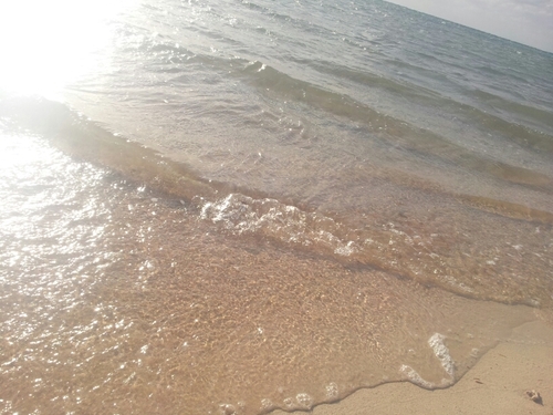 tomashop1's profile picture. 