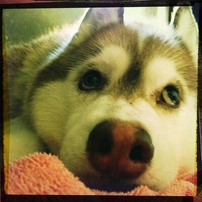 minamy91's profile image