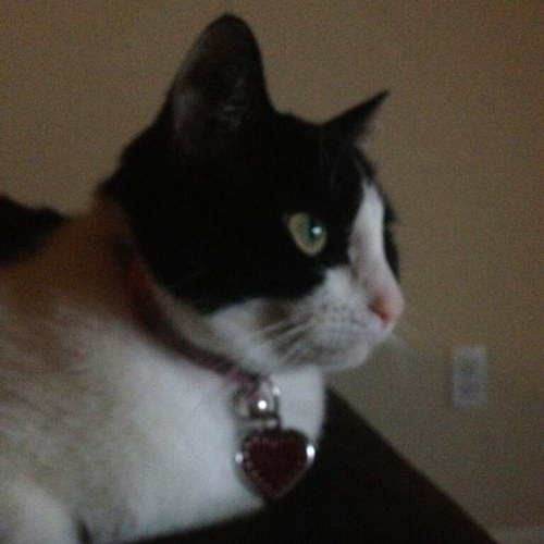 Tali Mathewson Profile