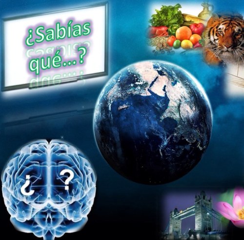 TeniasQueSaber's profile picture. Me alimento del silencio que anuncia la casi inmortal eternidad de ciertas cosas. Nada hay en la mente que no haya estado antes en los sentidos(Aristóteles).