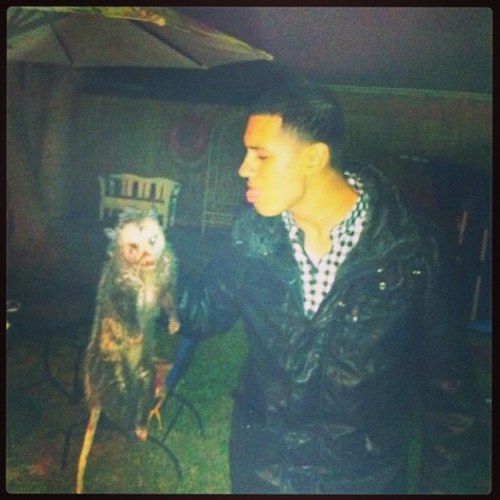 PerikoNL's profile picture. da shop!