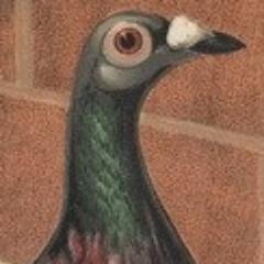 RLPigeon's profile picture. Writer of novels. Painter of paintings. Tweeter of tweets.