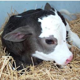 I'm married, 2 gr8 teens & I'm Weird! I Luv porn, & I'm a BIG PERV! U HAVE BEEN WARNED :) My family & I live w/ my parents on their dairy farm.