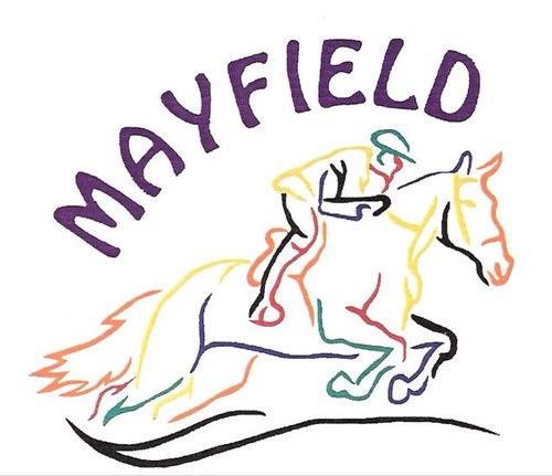 Family Run BHS registered Riding School & Livery