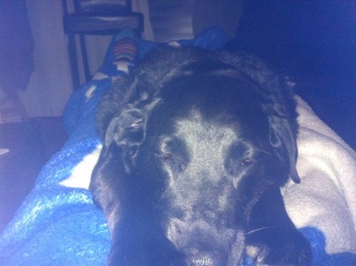 HankyMardukus's profile picture. 