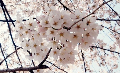 ykyk3826's profile picture. 멋진 남자