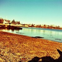 Victoria Dimick (@dimickme1) 's Twitter Profile